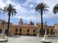 Teide und Orotava  (52)