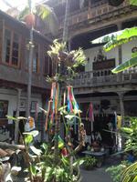 Teide und Orotava  (55)