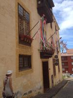 Teide und Orotava  (58)