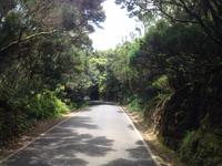 Norden Teneriffas (16)