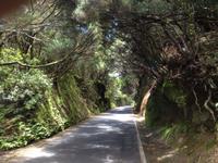 Norden Teneriffas (17)