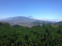 Norden Teneriffas (20)