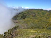 Fähüberfahrt nach La Gomera - Ausflug nach Palmental (8)