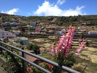 Fähüberfahrt nach La Gomera - Ausflug nach Palmental (14)