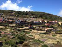 Fähüberfahrt nach La Gomera - Ausflug nach Palmental (16)