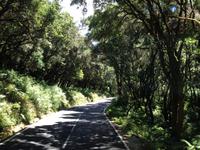 Fähüberfahrt nach La Gomera - Ausflug nach Palmental (18)