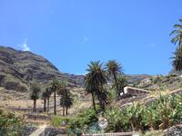 Fähüberfahrt nach La Gomera - Ausflug nach Palmental (36)