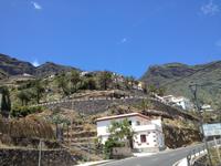 Fähüberfahrt nach La Gomera - Ausflug nach Palmental (37)