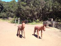 Fähüberfahrt nach La Gomera - Ausflug nach Palmental (52)