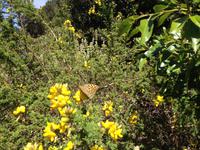 Fähüberfahrt nach La Gomera - Ausflug nach Palmental (61)
