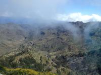 Fähüberfahrt nach La Gomera - Ausflug nach Palmental (62)