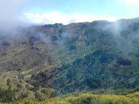 Fähüberfahrt nach La Gomera - Ausflug nach Palmental (63)