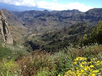 Fähüberfahrt nach La Gomera - Ausflug nach Palmental (67)