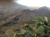 Inselrundfahrt auf La Gomera - Fährüberfahrt nach La Palma (3)