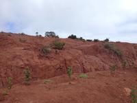 Inselrundfahrt auf La Gomera - Fährüberfahrt nach La Palma (33)