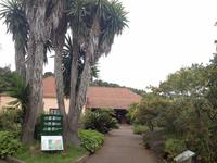 Inselrundfahrt auf La Gomera - Fährüberfahrt nach La Palma (36)