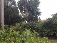 Inselrundfahrt auf La Gomera - Fährüberfahrt nach La Palma (37)