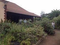 Inselrundfahrt auf La Gomera - Fährüberfahrt nach La Palma (38)