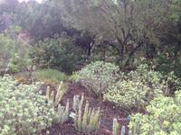 Inselrundfahrt auf La Gomera - Fährüberfahrt nach La Palma (40)