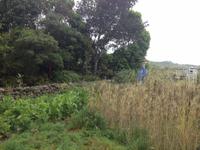 Inselrundfahrt auf La Gomera - Fährüberfahrt nach La Palma (41)