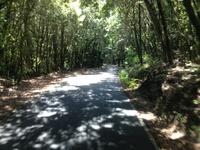 Inselrundfahrt auf La Gomera - Fährüberfahrt nach La Palma (48)