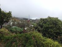 Süden La Palmas (12)