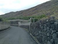 Süden La Palmas (45)