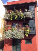 Norden La Palmas - Flug nach Gran Canaria (19)