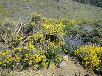 Norden La Palmas - Flug nach Gran Canaria (22)