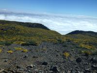 Norden La Palmas - Flug nach Gran Canaria (23)