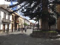 Inselrundfahrt auf Gran Canaria (5)