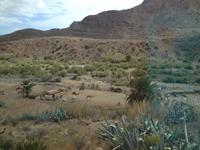 Inselrundfahrt auf Gran Canaria (19)