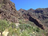 Auf den Spuren der Ureinwohner (47)