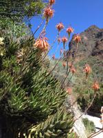 Auf den Spuren der Ureinwohner (49)