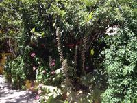 Auf den Spuren der Ureinwohner (56)