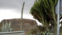 Gran Canaria - Mirador Tunte (4)