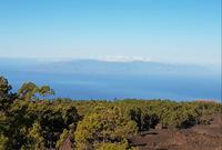 Inselhüpfen auf den Kanaren - 12 Tage Rundreise auf den Kanarische Inseln Teneriffa – La Gomera – La Palma – Gran Canaria (294)