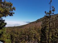 Inselhüpfen auf den Kanaren - 12 Tage Rundreise auf den Kanarische Inseln Teneriffa – La Gomera – La Palma – Gran Canaria (511)