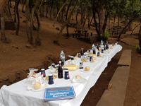 Inselhüpfen auf den Kanaren - 12 Tage Rundreise auf den Kanarische Inseln Teneriffa – La Gomera – La Palma – Gran Canaria (518)