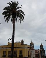 Inselhüpfen auf den Kanaren - 12 Tage Rundreise auf den Kanarische Inseln Teneriffa – La Gomera – La Palma – Gran Canaria (536)