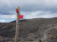 Inselhüpfen auf den Kanaren - 12 Tage Rundreise auf den Kanarische Inseln Teneriffa – La Gomera – La Palma – Gran Canaria (1037)