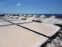 Inselhüpfen auf den Kanaren - 12 Tage Rundreise auf den Kanarische Inseln Teneriffa – La Gomera – La Palma – Gran Canaria (1050)