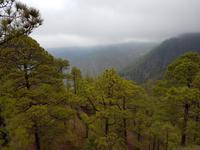 Inselhüpfen auf den Kanaren - 12 Tage Rundreise auf den Kanarische Inseln Teneriffa – La Gomera – La Palma – Gran Canaria (1078)