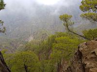 Inselhüpfen auf den Kanaren - 12 Tage Rundreise auf den Kanarische Inseln Teneriffa – La Gomera – La Palma – Gran Canaria (1088)