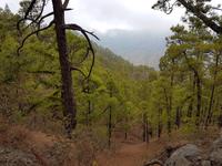 Inselhüpfen auf den Kanaren - 12 Tage Rundreise auf den Kanarische Inseln Teneriffa – La Gomera – La Palma – Gran Canaria (1097)