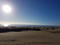 Inselhüpfen auf den Kanaren - 12 Tage Rundreise auf den Kanarische Inseln Teneriffa – La Gomera – La Palma – Gran Canaria (1194)