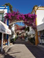 Inselhüpfen auf den Kanaren - 12 Tage Rundreise auf den Kanarische Inseln Teneriffa – La Gomera – La Palma – Gran Canaria (1233)