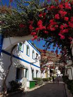 Inselhüpfen auf den Kanaren - 12 Tage Rundreise auf den Kanarische Inseln Teneriffa – La Gomera – La Palma – Gran Canaria (1235)