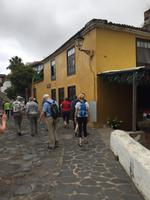 Spaziergang in Icod de los Vinos