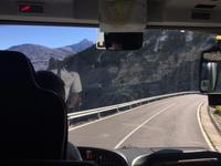 Es geht in den Teide National-Park 